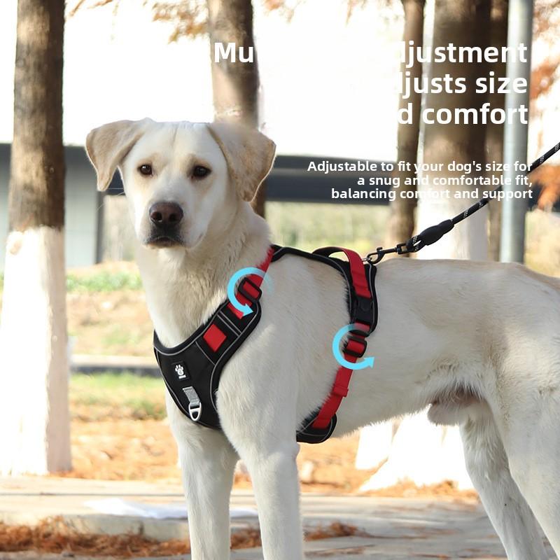 The Dog Leash Is A Medium To Large-sized Golden Retriever with A Vest, A Chest Strap, A Neck Loop and A Chain. The Dog Leash Is Adjustable