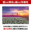 Canon Large Format Printer imagePROGRAF Compatible with A2 12 Colors of Pigment Ink [New] PRO-1100 Nobi, (Compatible Ink PFI-4100 Series)