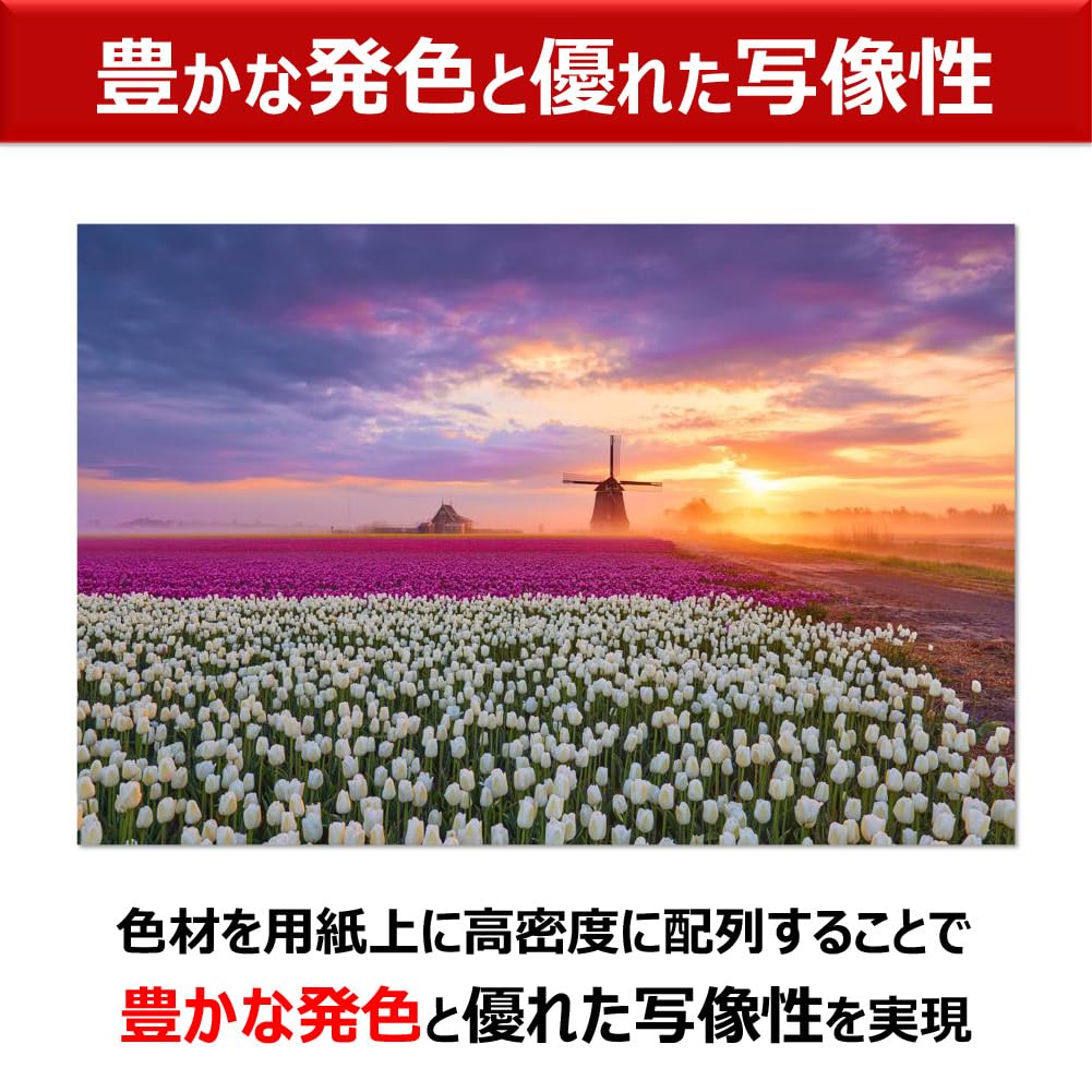 Canon Large Format Printer imagePROGRAF Compatible with A2 12 Colors of Pigment Ink [New] PRO-1100 Nobi, (Compatible Ink PFI-4100 Series)