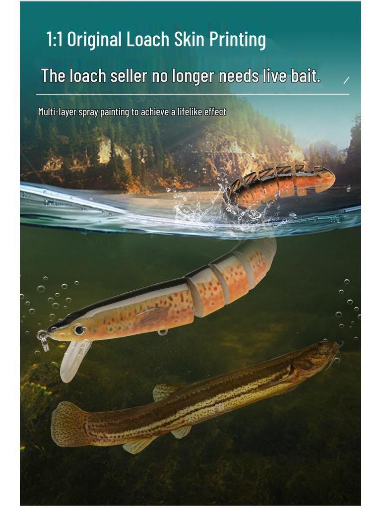 Aspius Long-Cast Marine Fishing Simulation Bait - Large, Slow-Sinking, Fake Lure for Sea Fishing