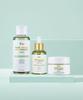 Thinco Pure Bifida 99% Perfect Toner/Ampoule/Cream Skincare 3-Piece Set