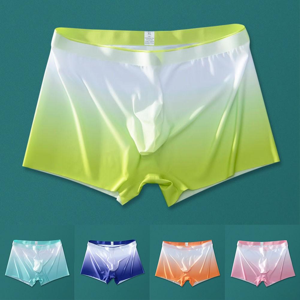 Lightweight Underwear Sexy Sheer Soft Boxer Briefs