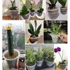 4pcs/set Lightweight Clear Mesh Planter For Plant Container Container Planter Decoration Home Flower