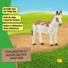 Schleich Farm World American Spotted Donkey Ages 13961 Figure, 3+
