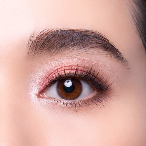 Revlon So Fierce! Prismatic Palette 965 Tantrum (Color Image: Brown Gradation with Terracotta Accents) Eyeshadow 42g