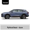 Haval H6 Cool Dog Touch-Up Pen, Black Spot & Ruixue White Scratch Repair Paint