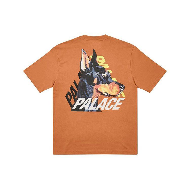 PALACE T Shirts Unisex Caramel Crew Neck Moderate P22TS166