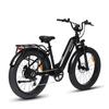 Bodywel D9 Electric Bike with 48V 15Ah Removable Battery,LED Display & App Connectivity