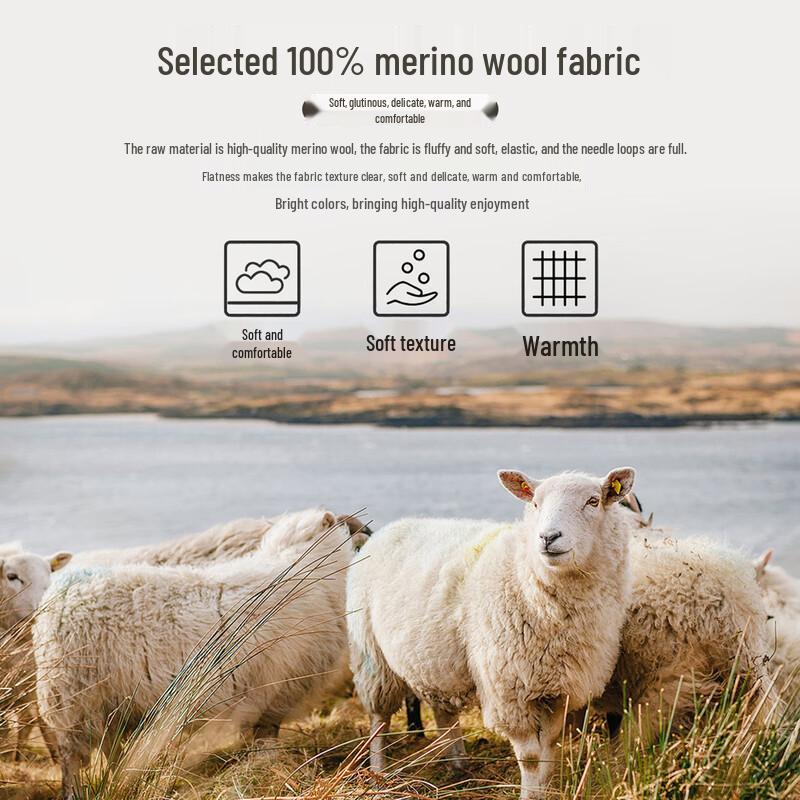 SNOWFLYING Women's 100% Merino Wool V-Neck Basic Knit Sweater