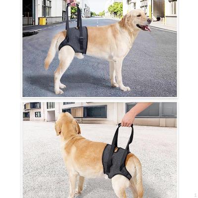 Imbracatura di Sollevamento per Cani Imbragatura per Zampe Posteriori Portatile con Maniglia Supporto Morbido Traspirante per Zampe Posteriori
