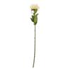 Hill Interiors Protea Lorea Stem Artificial Plant