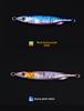 Shore Casting Lure Sea Boat Fishing 60/80/100 Grams Vibration Sinking Metal Jig Head Lead Bass Dedicated Artificial Hard Bait