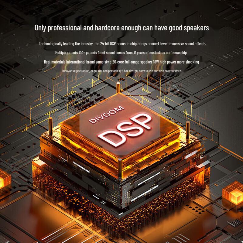 DianYin Home Karaoke Bluetooth Speaker with Dual Microphones