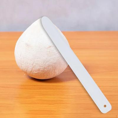 Coconut Opener Egg Tools, White Easy To Use, Meat Opener, Shell for