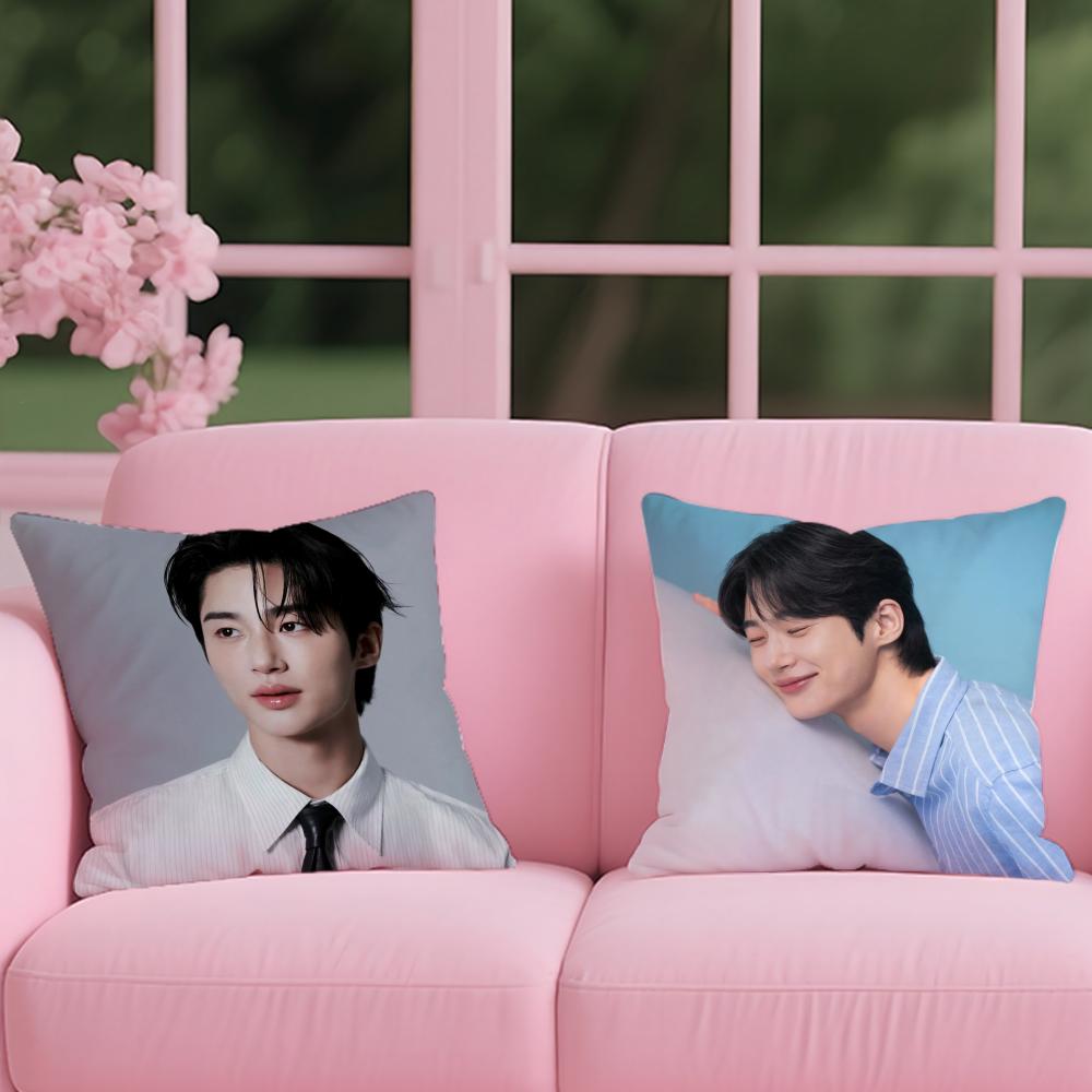 Byeon Woo-seok Cushion Cover Reversible Plush Pillow Cover – For car, sofa, bedroom, perfect as a gift.