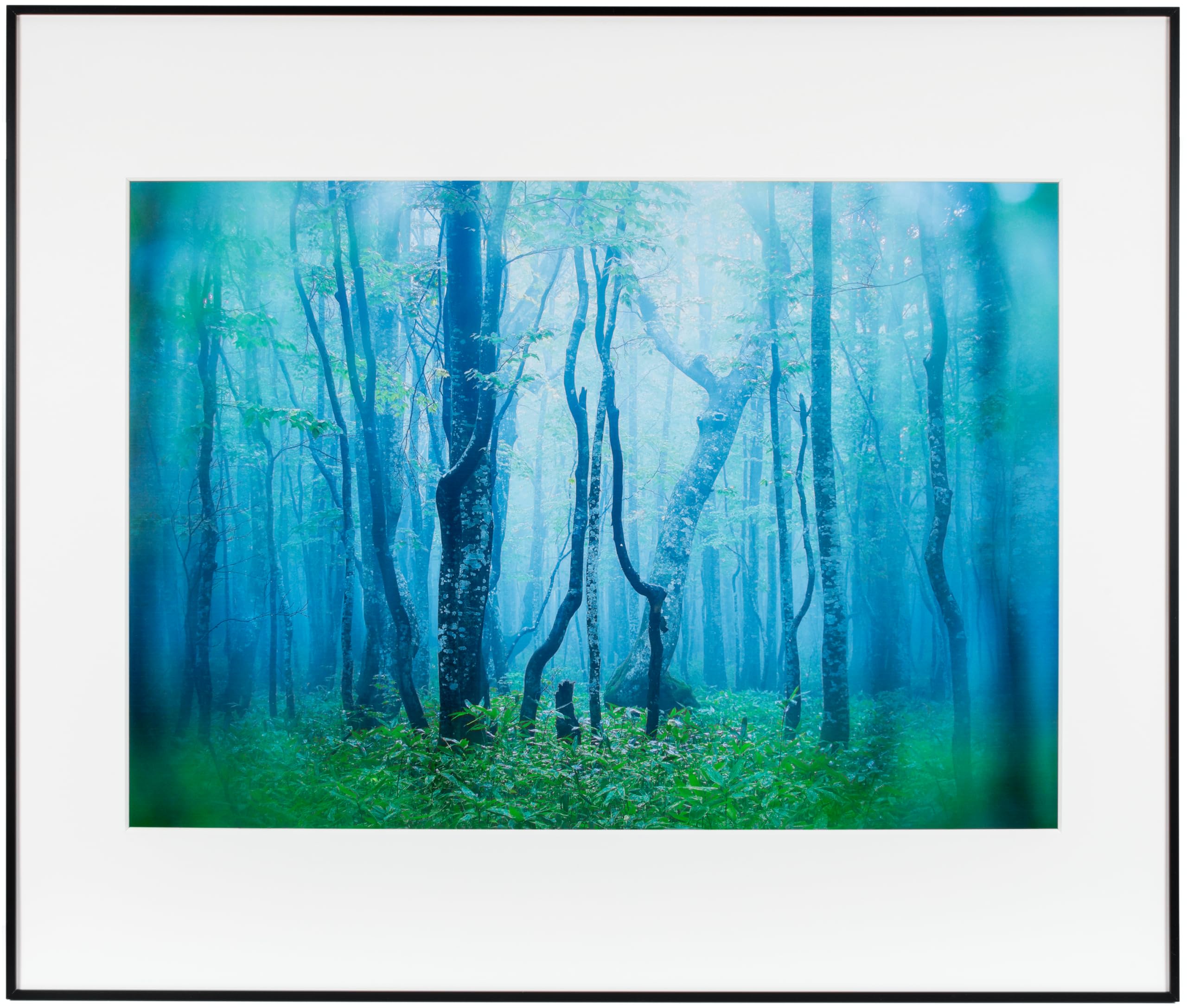 Kenko Gallery Frame A2 Acrylic Surface Aluminum Frame AGY-A2-BW Black White