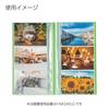 KOKUYO File Photo Album Nobita A4 Slim 240 Sheets Capacity Blue R-NA240B