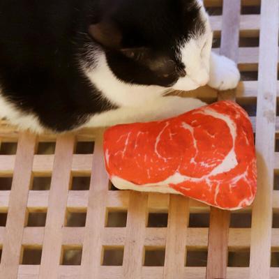 Real Like Pet Squeak Toy (Raw Meat)