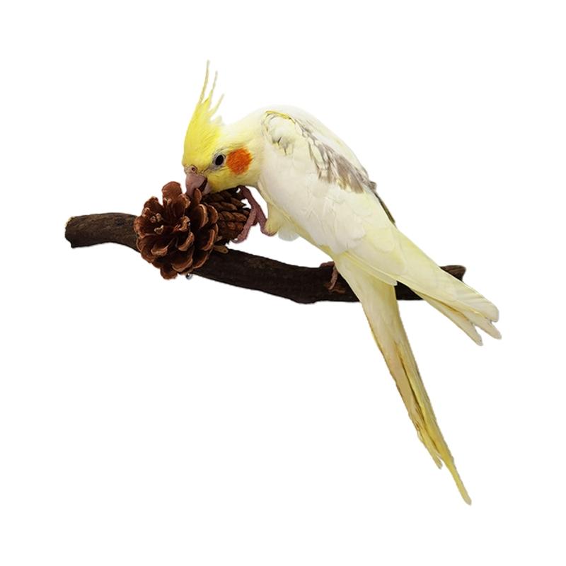 Bird Perch Stand Natural Wood Standing Climbing Tree Wine with Pine Cones Paw Grinding Toys for Birds Cage Accessories