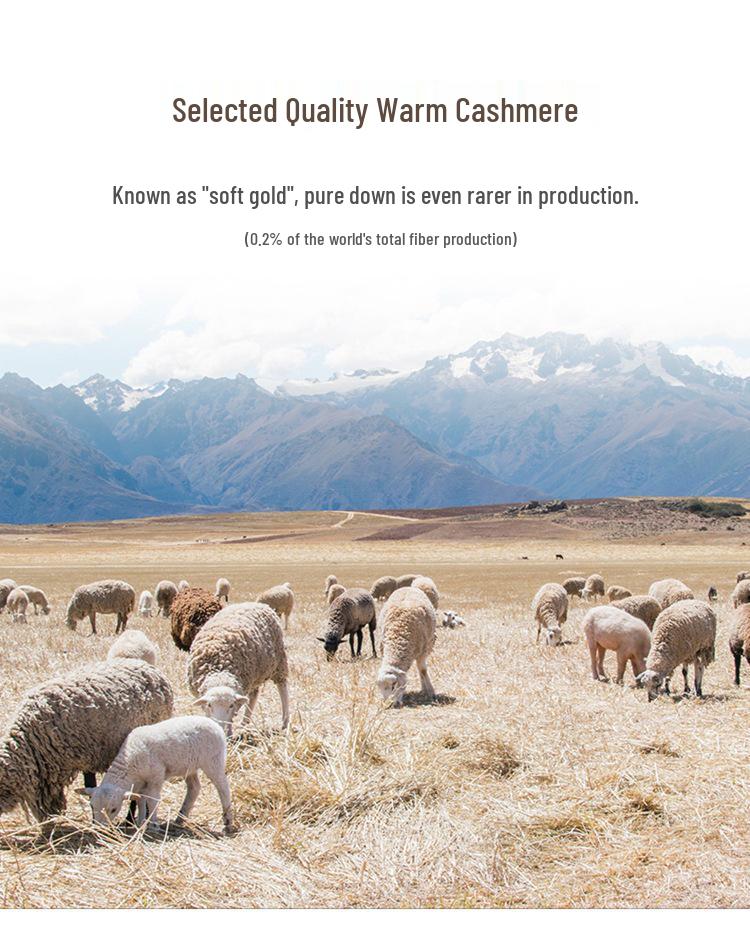 Women's 100% Pure Cashmere V-neck Sweater, Autumn Winter Long Sleeve Knit Pullover Top