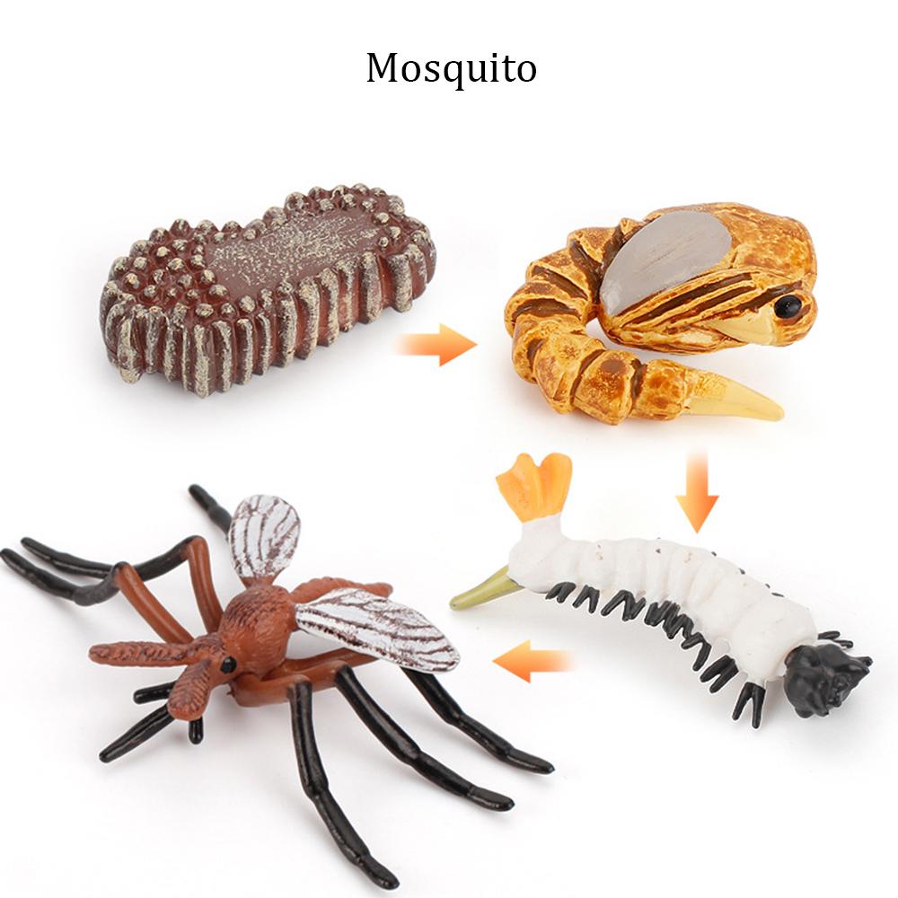 Kids Toy Life Cycle Chicken Dragonfly Simulation Model Figurine Animals Growth Cycle