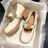 Mary Jane Shoes New Spring Thick Heel High Heel with Skirt Small Leather Shoes Fairy Gentle Wind Single Shoes