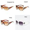 Premium Quality Hd Fashion Women Sunglasses With Classic Timeless Design 3043