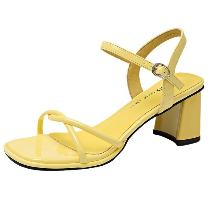 One word with sandals women's 2025 summer new models with skirts French temperament not tired feet thick heels square head high heels shoes