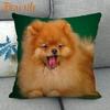 Nice Pomeranian Dog Pillowcase Bedroom Home Decorative Cover 45x45cm Square Zipper Pillow Cases Cotton Linen Fabric No Fade