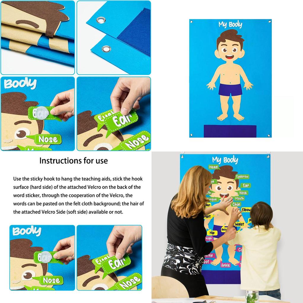 Kids' Felt Body Structure Puzzle Board With Organ Images