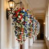 3 Pezzi Fiori di Campanella di Seta Rossi Bianchi Blu Rampicanti per Decorazione Giardino Matrimonio e Festa