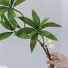 Artificial Flowers Fig Tree Branches with Realistic Leaves And Flowers Flexible Bendable Stems for Indoor Outdoor Decor Fake Fig Flower Arrangement