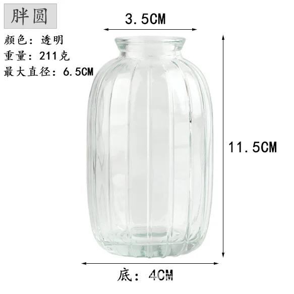 Decorative Flower Bottle Nordic Glass Vase Transparent Bud Vase Designed Hydroponic Plant Pot Living Room Decor Table Ornaments
