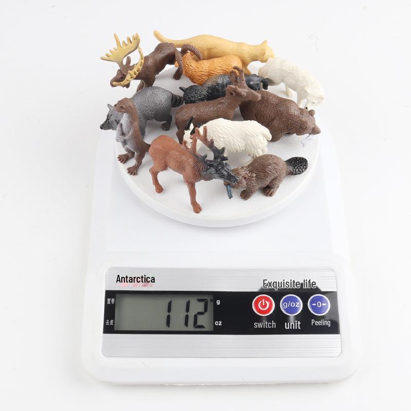 Marine Animal Models: Tuna, Triggerfish, Dolphin, Moray Eel, Squid, Whale Shark, Hammerhead Shark, Sea Turtle, Swordfish