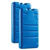 Insert Pour Glacière - Curver - 2 Pcs - Transparent/Bleu - Réutilisable - 400 G