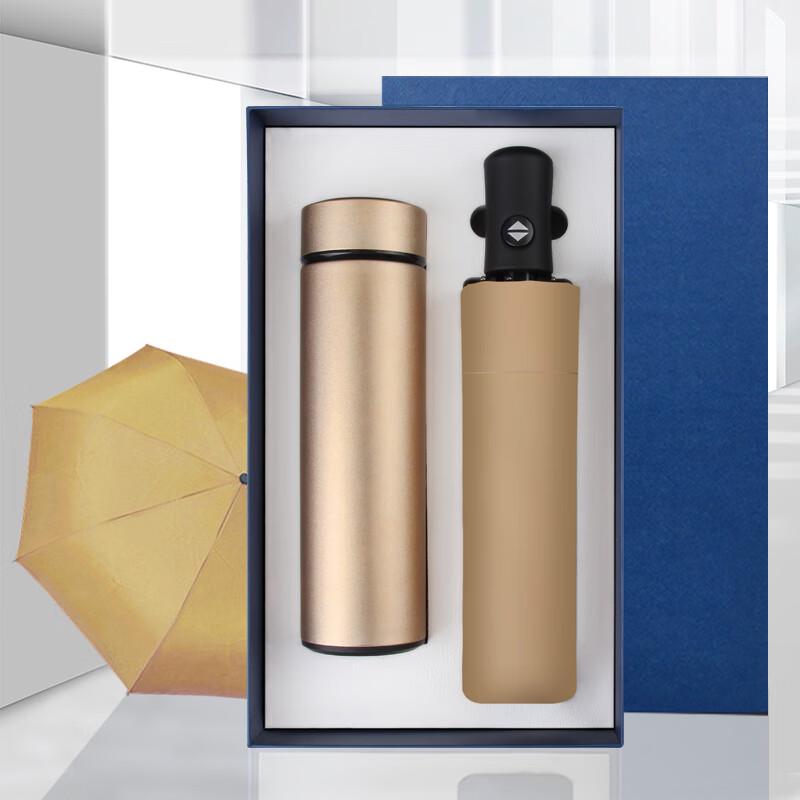 Insulated Stainless Steel Water Bottle