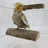 Premium Pole High Quality Parrot Apple Wooden Jumpboard Parrot Rest Platform Jumping Platform Grinding Claw Bird Standing Stick Standing