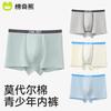 Teenage Boys' Antibacterial Modal Underwear
