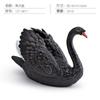 Wildlife Simulation Animal Swan Model Ornament Children'S Educational Farm Poultry White Swan And Black Swan Desktop Decorations