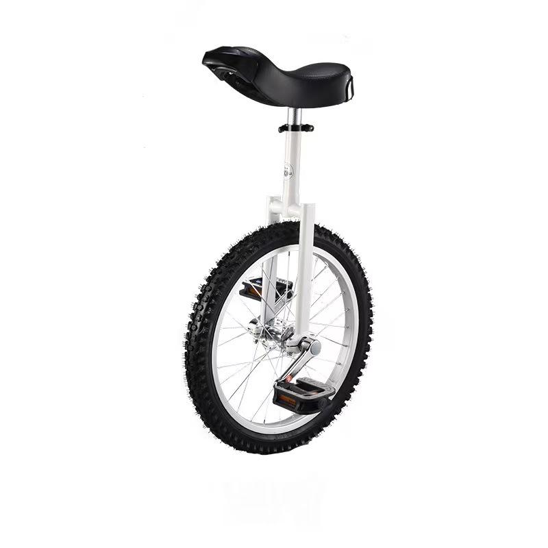 Cross-Border Unicycle for Children and Adults
