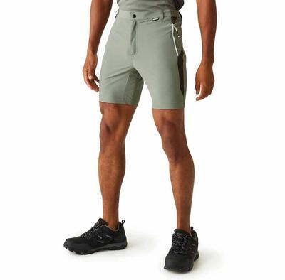Mountain II Shorts