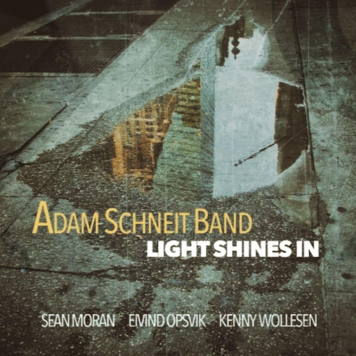 

CD ADAM SCHNEIT BAND Light Shines in FSNT518 Spain Jazz Used