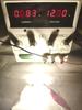 WiseShine DE3175 Festoon Reading Light LED Bulb Natural White 4500k