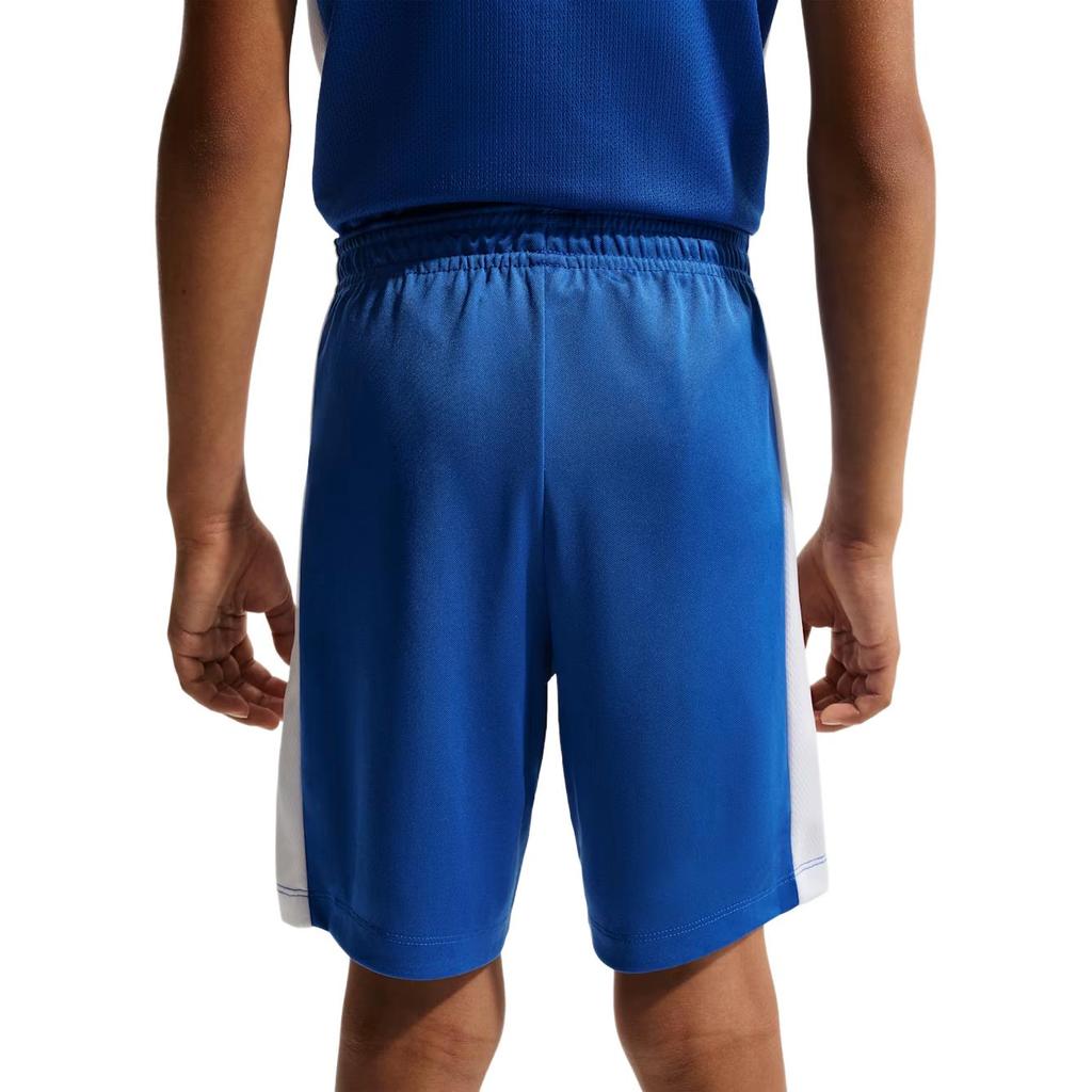 Nike Dri-Fit Trophy 23 Mesh Side Panel Shorts Kids shorts IF2399-480