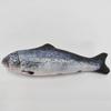 3D Fish Shaped Simulation Interactive Cat Toy Soft Plush Interactive Chew Toy for Cats Funny Teasing Doll Pet Supplies