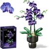 Conjuntos de Construção de Flores de Orquídea com Vaso, Coleção Botânica de Orquídeas Roxas Brinquedos de Construção para Decoração de Escritório em Casa Decoração de Mesa, Presentes de Natal Aniversário