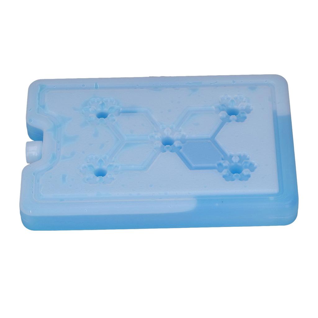 Outdoor Portable Freezer Picnic Camping Travel Fruit Cooler Box Reusable Ice Pack 600ML