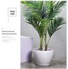 White Ceramic Orchid Pot, Large Elegant Design for Living Room