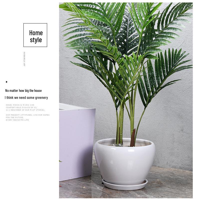 White Ceramic Orchid Pot, Large Elegant Design for Living Room