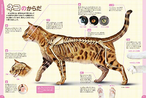 Dogs, Cats, and Pets (Gakken's Illustrated Encyclopedia LIVE)